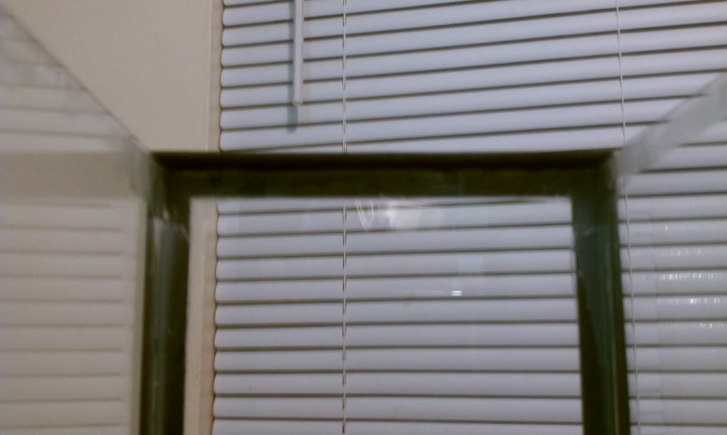 IMAG0120.jpg