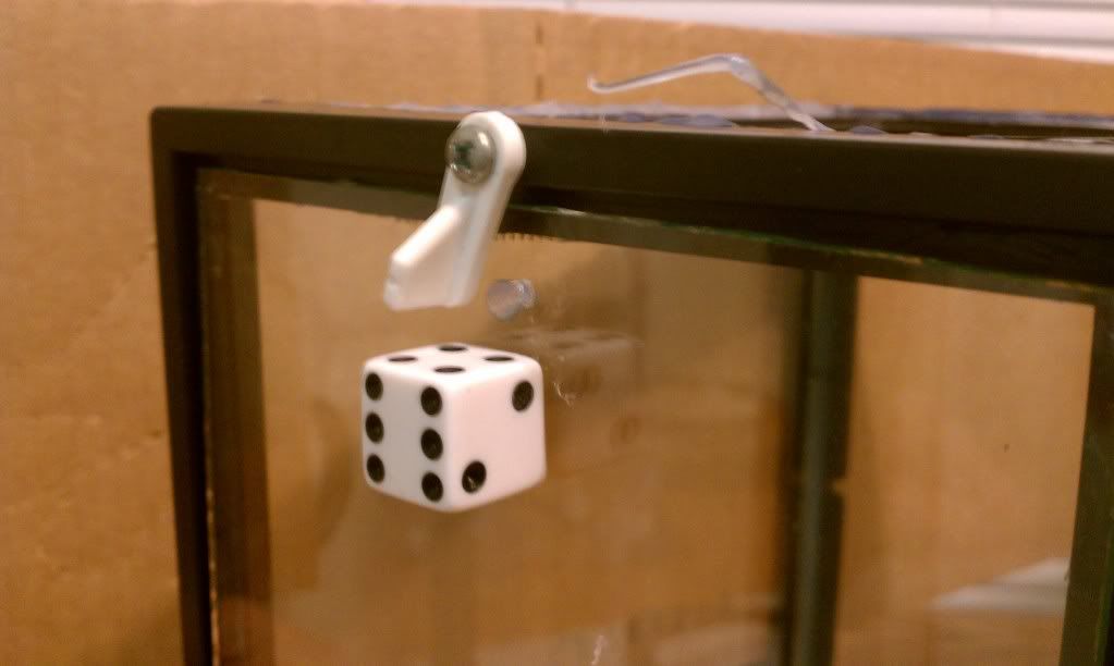 IMAG0129.jpg