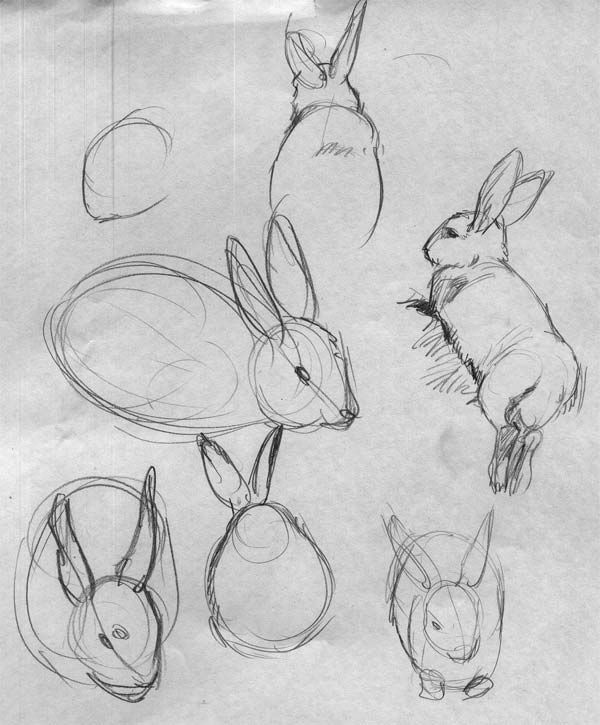 Shyam's Sketchbook (04-11-2012) Shyam's Sketchbook (04-11-2012)