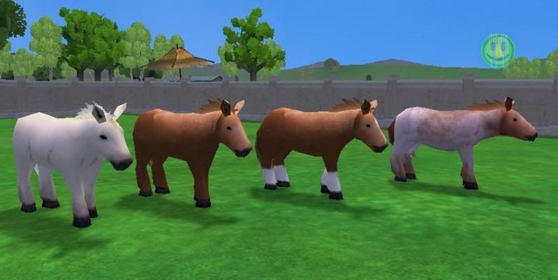 the four varients for the arabian horse, Chestnut, chestnut with stripe and socks, grey and strawberry roan: