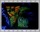 MainStage2.flv Mono Main Stage 2 video by aodei