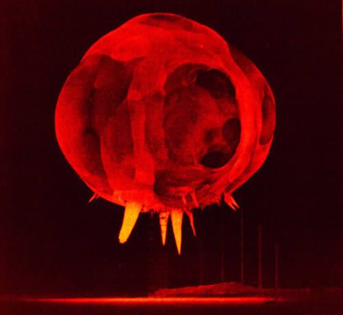 explosion-nuclear-color.jpg picture by jemwong