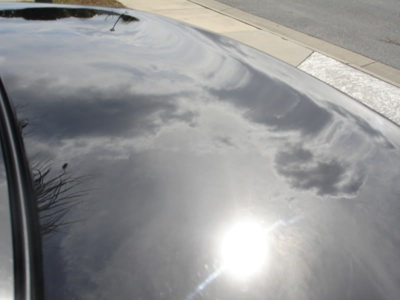 DSC01884.jpg