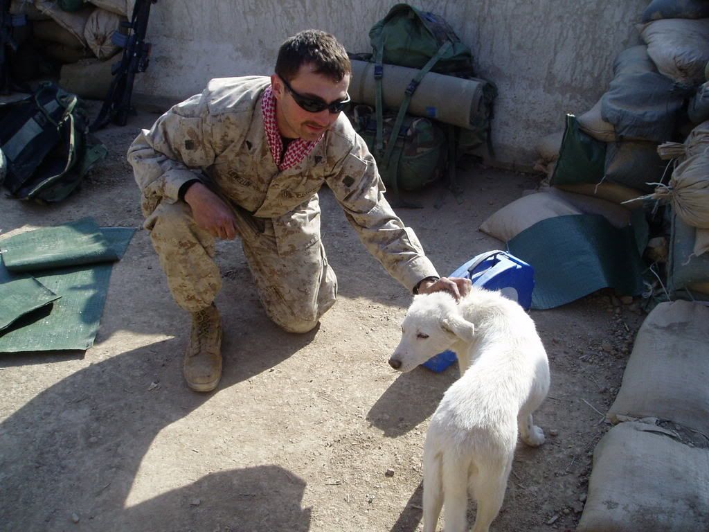 iraq 2005