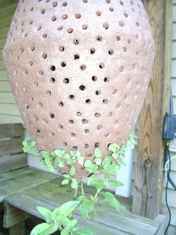 What is this pot for? | Gardening Forums