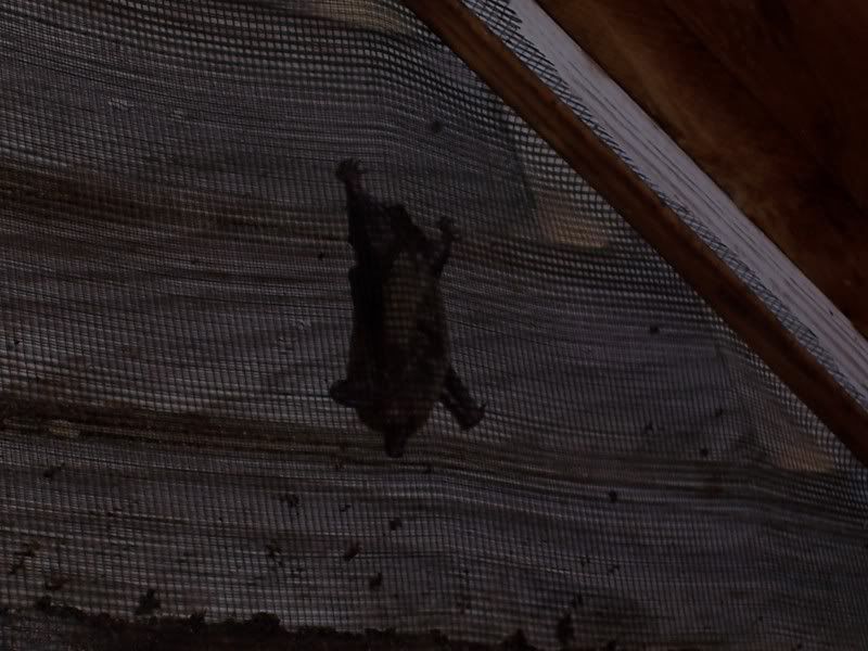 [Linked Image from i7.photobucket.com]