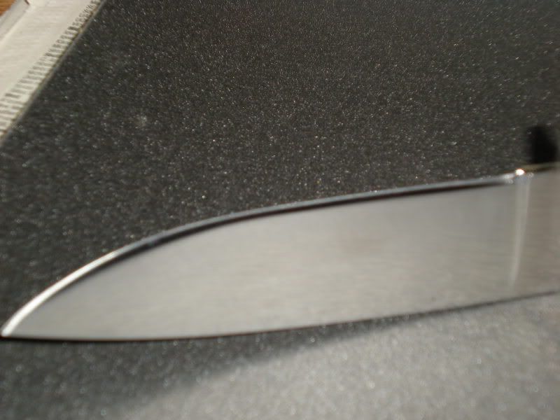 [Linked Image from i7.photobucket.com]