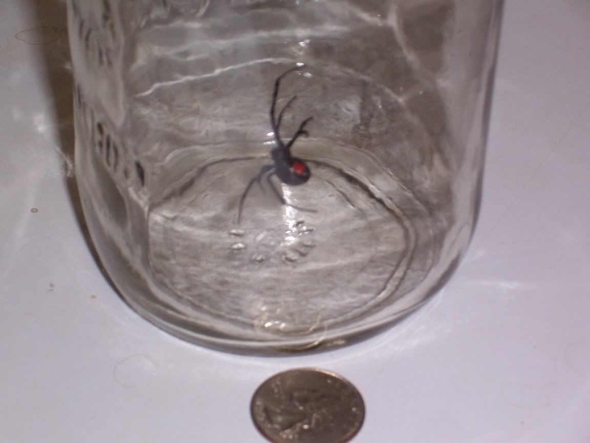 [Linked Image from i7.photobucket.com]