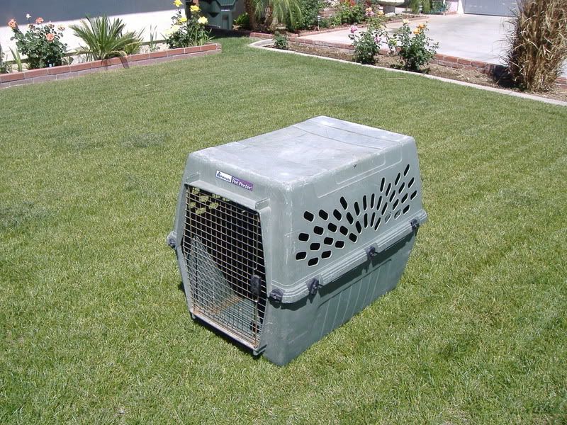 WTS Layout Blind/Dog Kennels/5th Wheel Hitch Duck Hunting Forum