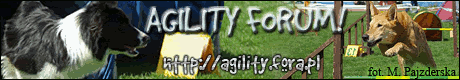 Forum Agility