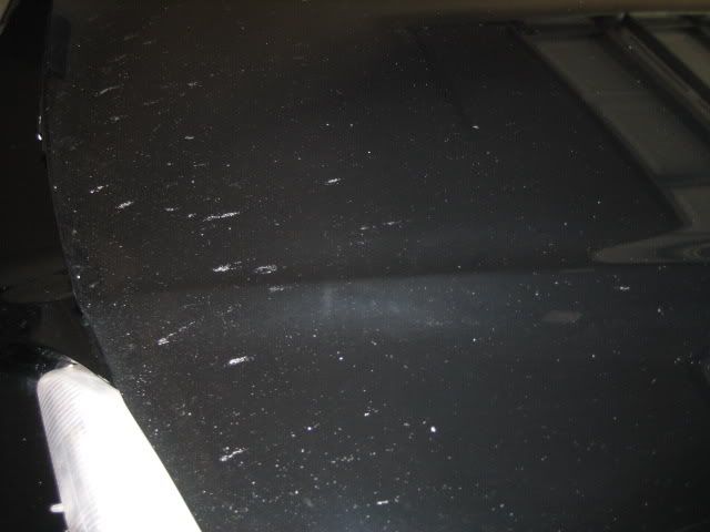 Picture004.jpg