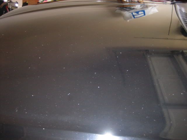 Picture005.jpg