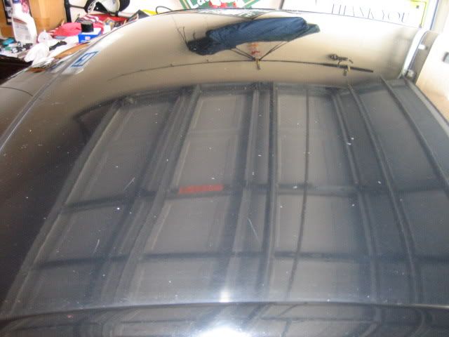 Picture006.jpg