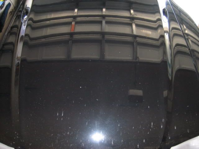 Picture008.jpg