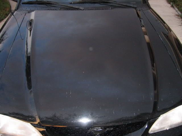 Picture009.jpg