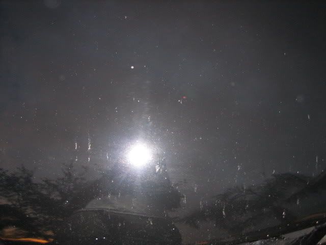Picture010.jpg