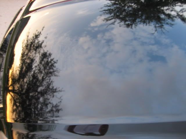 Picture012.jpg