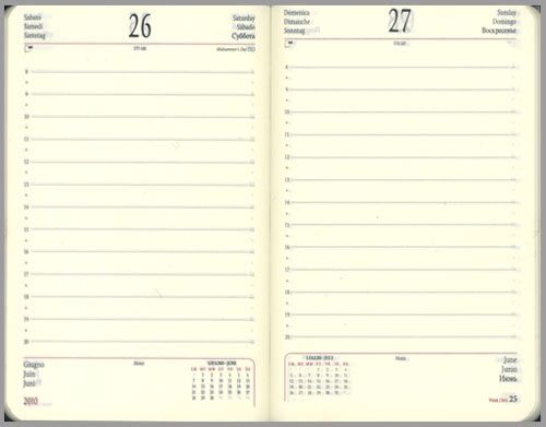 Cartesios daily planning pages. Cartesios planning pages are printed in 2 colors, 6 languages and include current and next month calendars. Time slots are broken down into 13, 1-hour slots with dots designating the half-hour mark. The hours are spaced wide enough for including appointments on the half hour. There are no lines for notes, but there is a small, blank area for notes at the bottom of each page and a ruled section in the back.