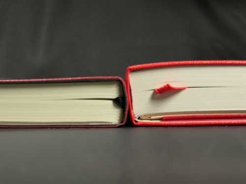 Cartesio vs Moleskine, planner thickness The Cartesio daily planner is thinner than the Moleksine daily planner by about ¼ This combined with a thinner, more flexible cover makes the Cartesio more comfortable to carry with you and is much less bulky. If you have avoided daily planners becasue of their bulk, the Cartesio may be a good option for you.