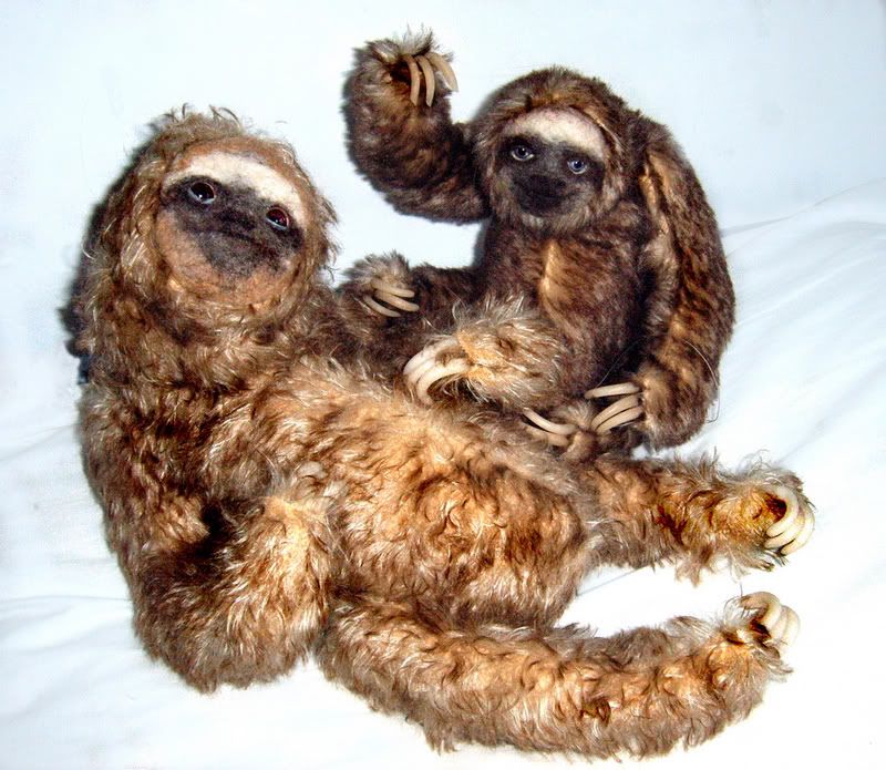 SlothMorecambe.jpg