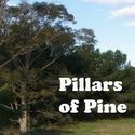 Pillars of Pine