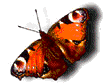 Image hosted by Photobucket.com