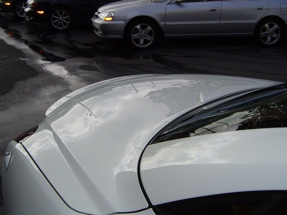 1b65a04e.jpg