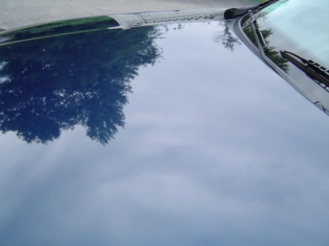 43030c57.jpg