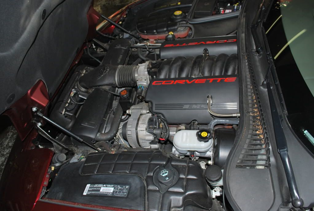 June292009006.jpg