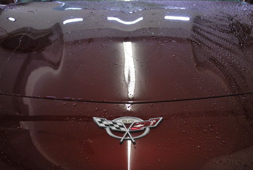 June292009027.jpg