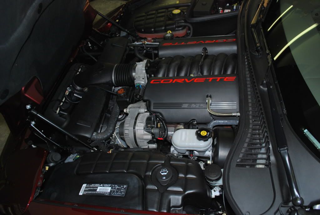 June292009076.jpg