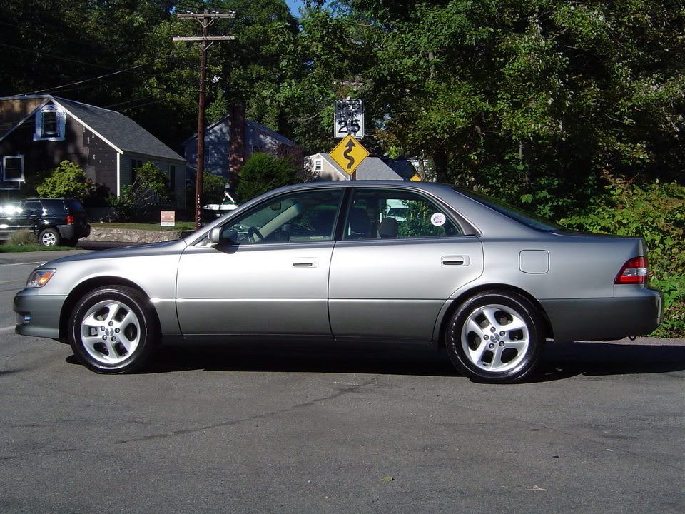 5671873f.jpg