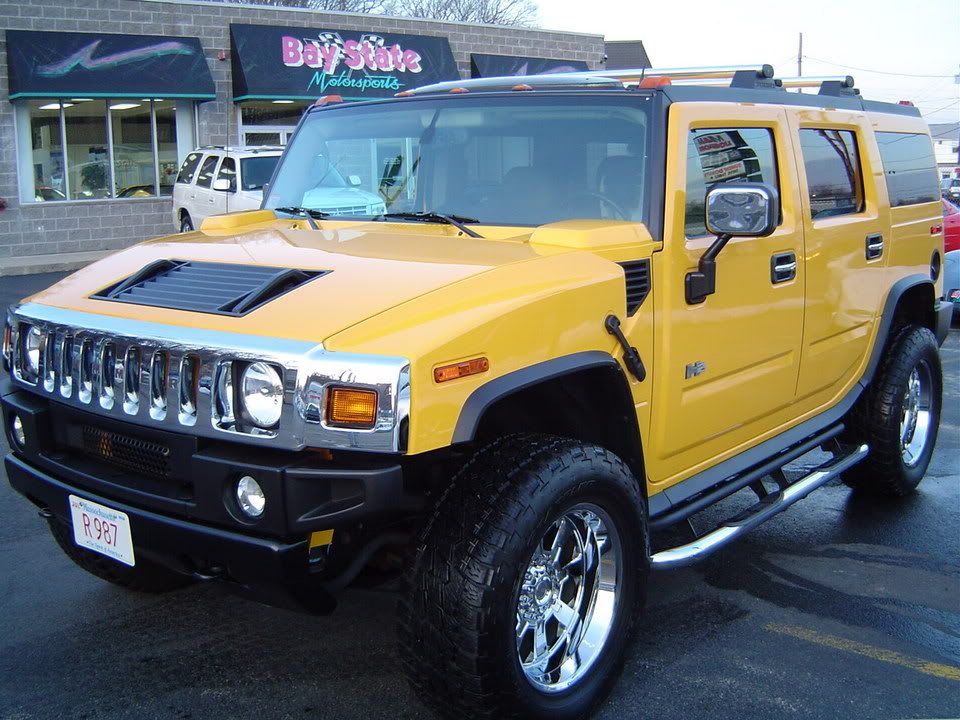 65005958.jpg