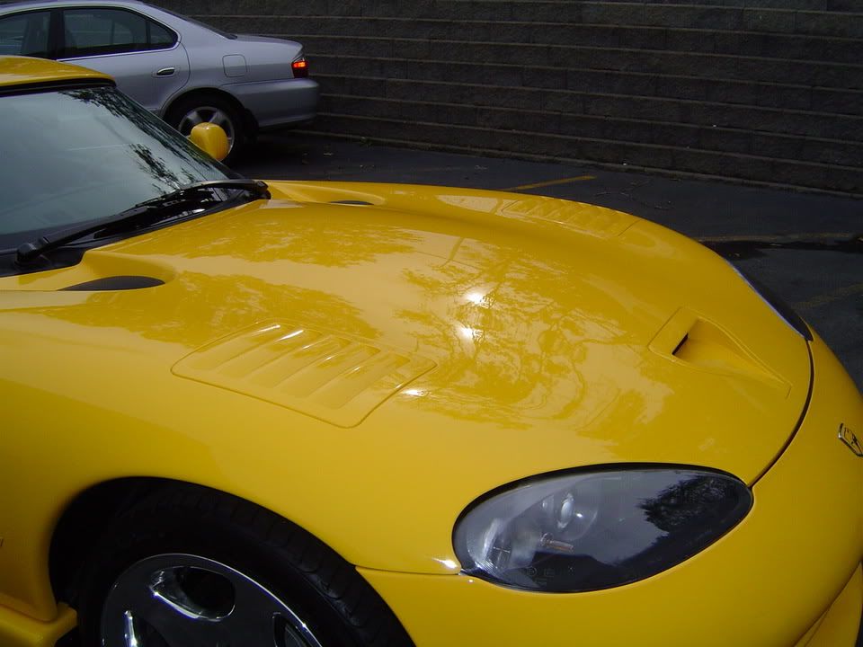 8954f18f.jpg