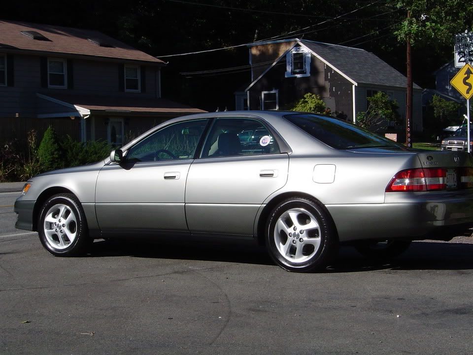 92307067.jpg