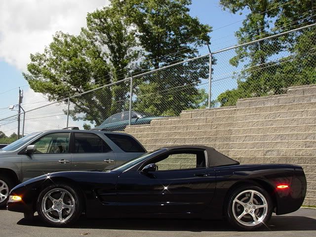 BlackC5002.jpg