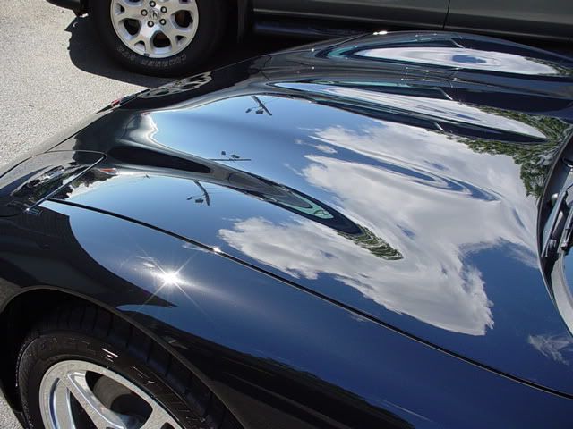 BlackC5007.jpg