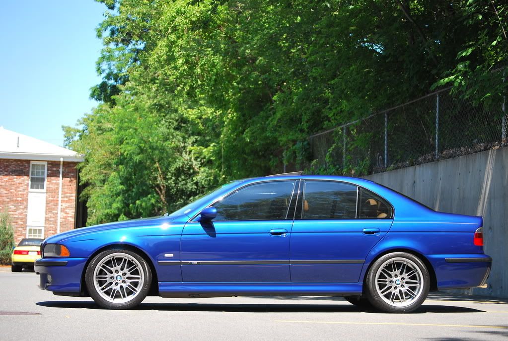 BMWM5095.jpg