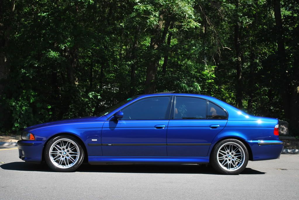 BMWM5151.jpg