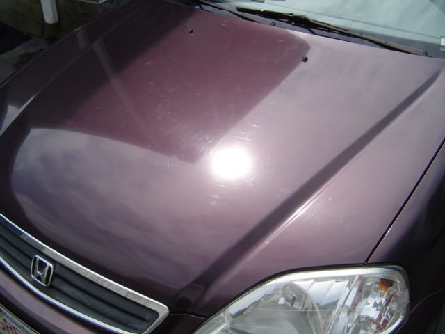 Civic001.jpg