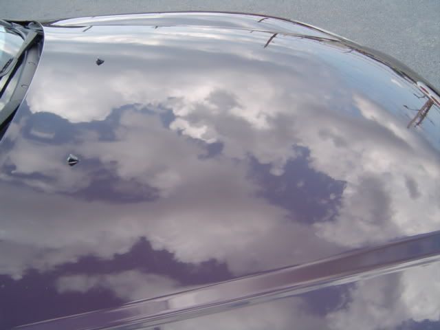 Civic046.jpg