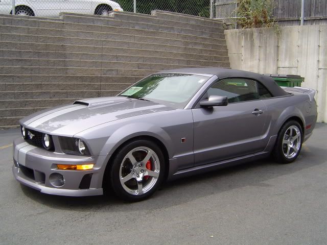 23595874.jpg