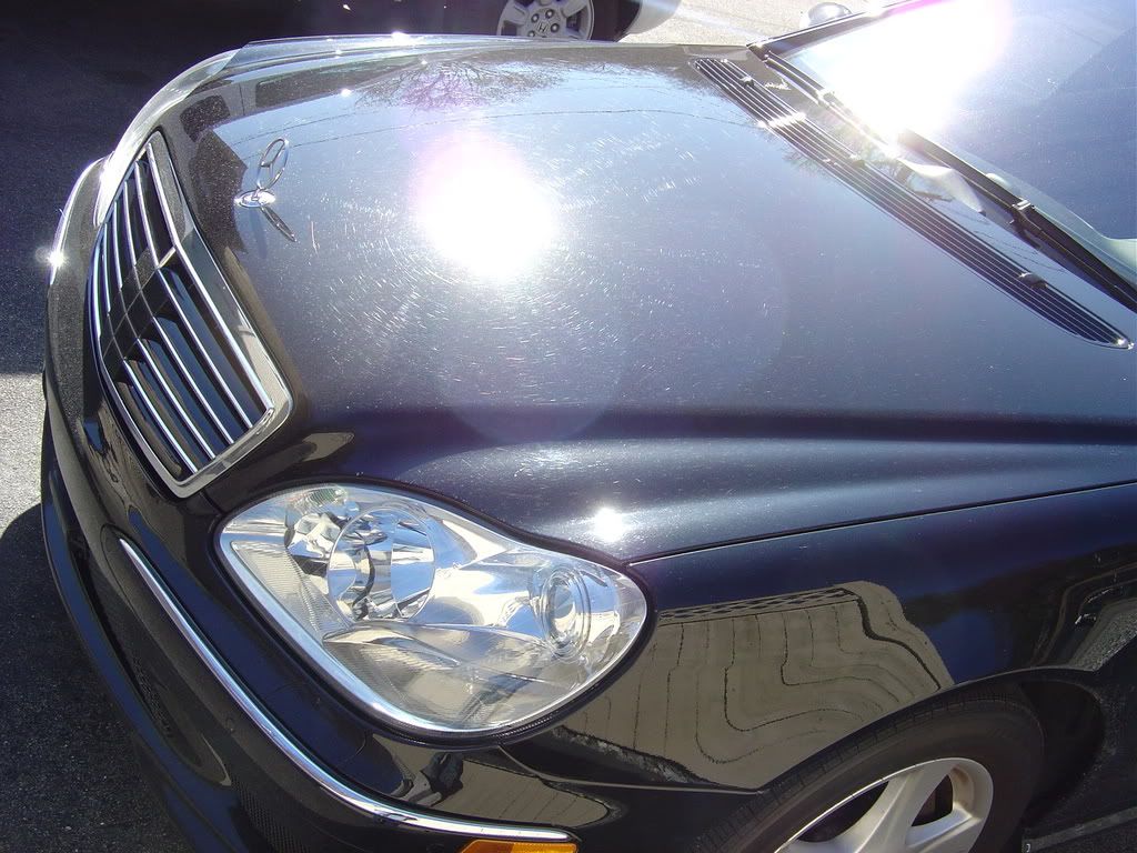 MarchDetails021.jpg