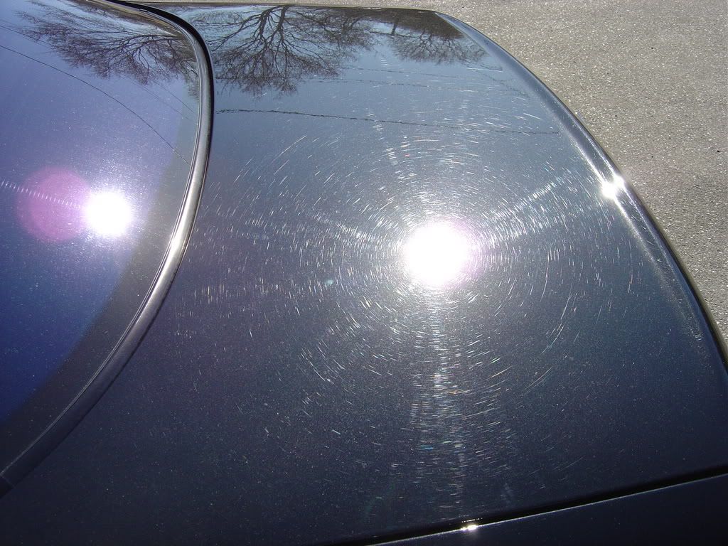 MarchDetails025.jpg