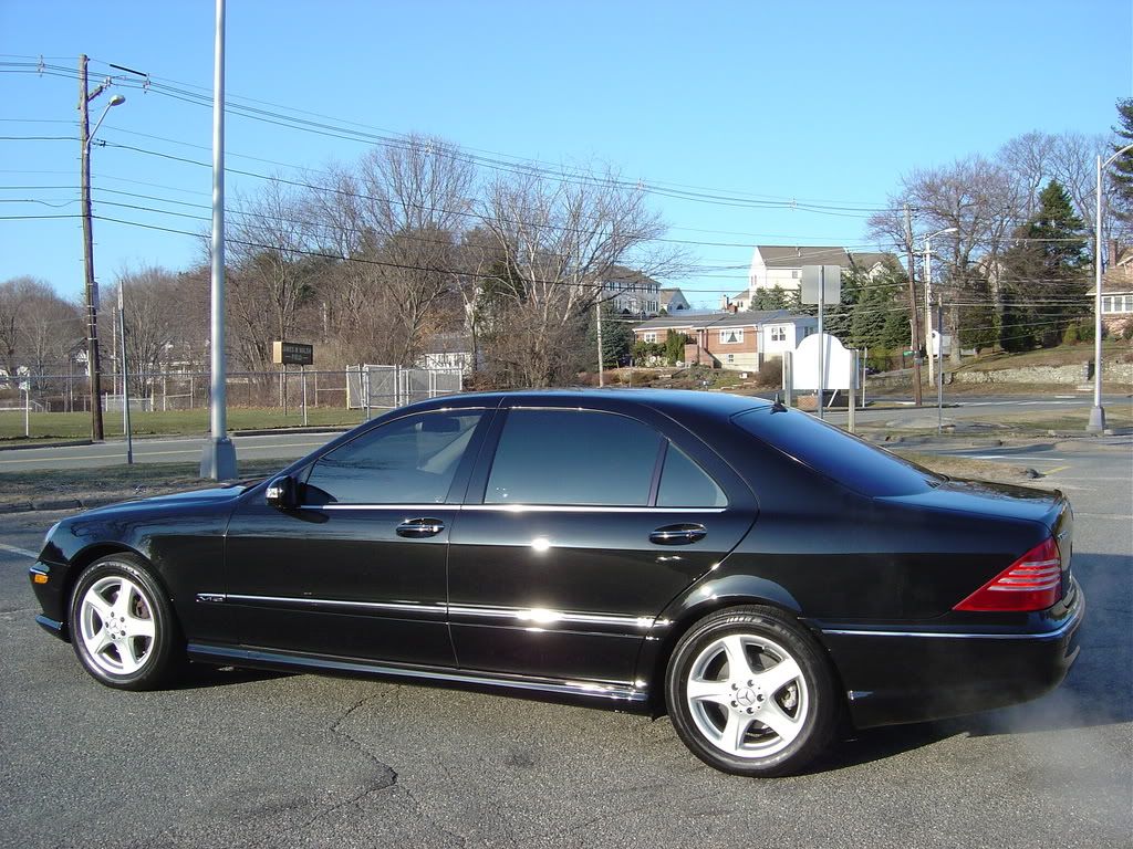 MarchDetails203.jpg
