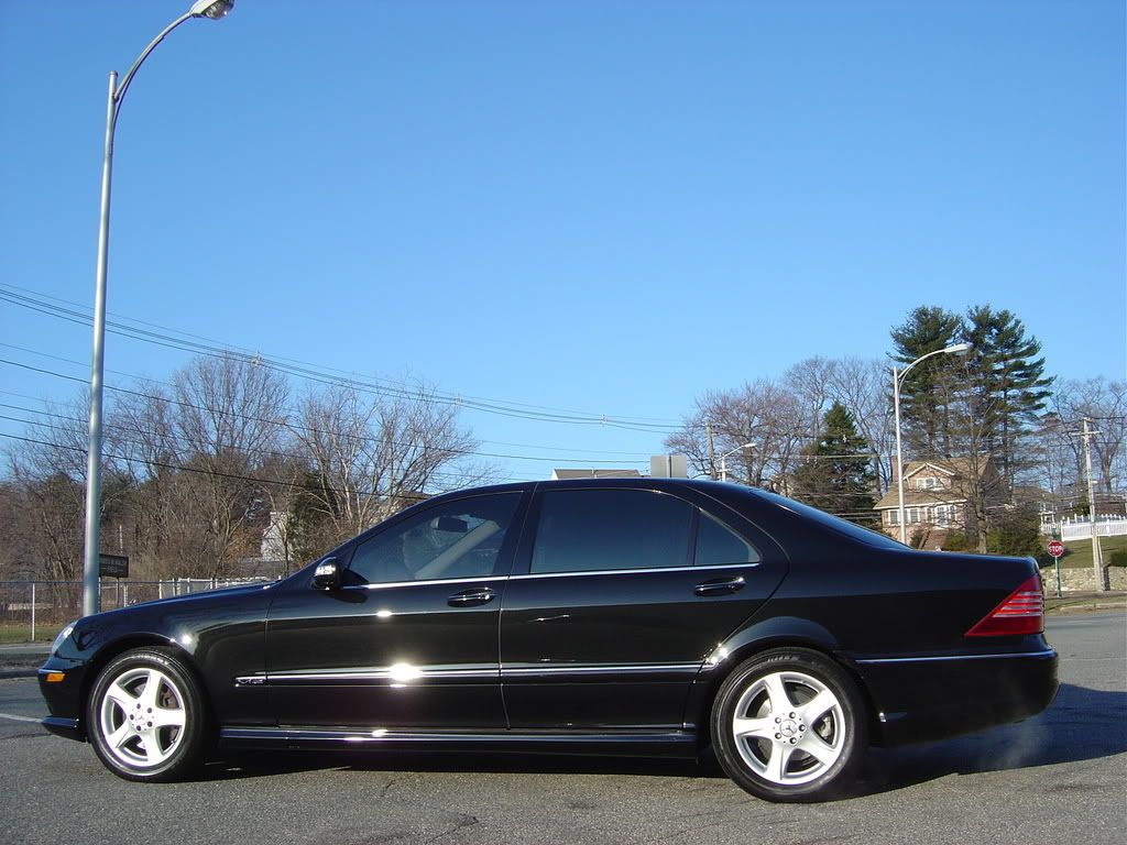 MarchDetails206.jpg