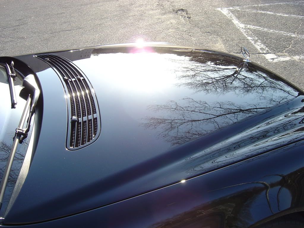 MarchDetails221.jpg