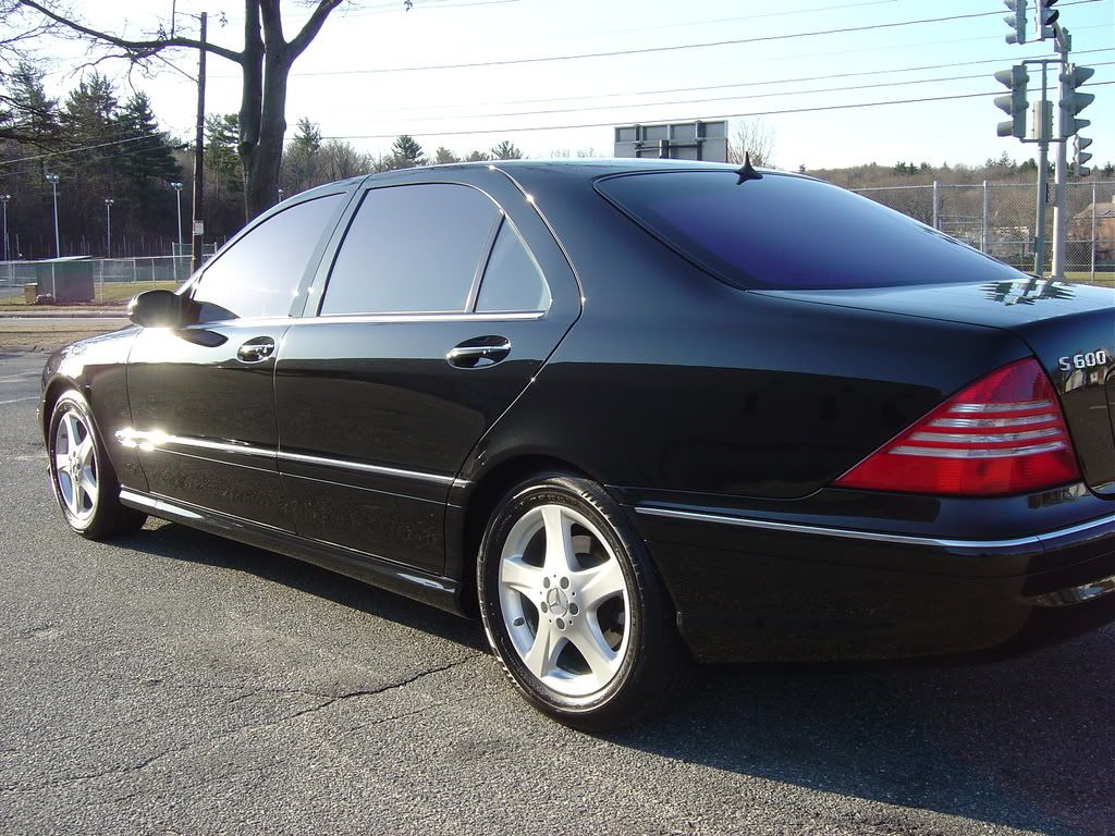 MarchDetails225.jpg