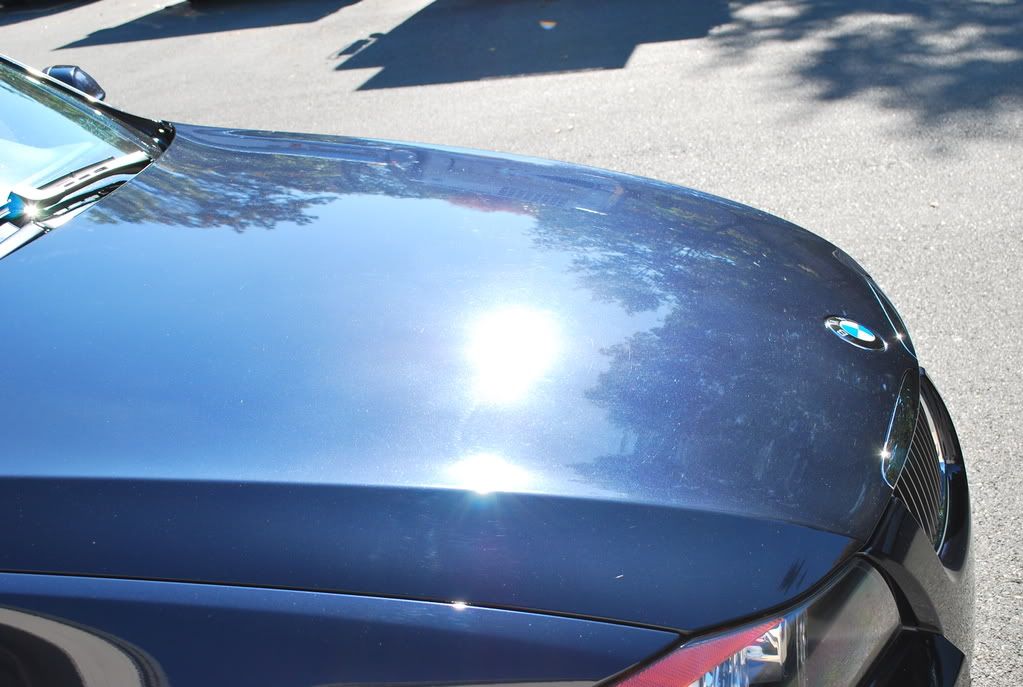 MonacoBlueBMW3-Series020.jpg