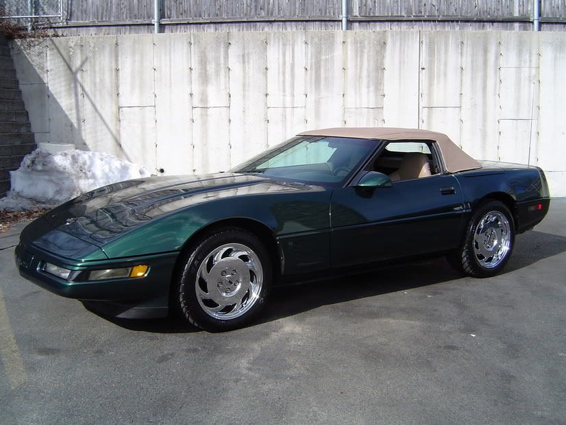 8b393cdd.jpg